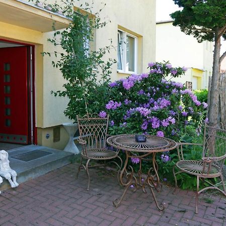 Cozy Souterrain-Half-Basement-Apartment Included 2 Bicycles Berlin Eksteriør bilde